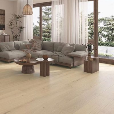 Tudorwoods-Luxxe240-LIving-Area-Feature